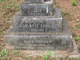 image of grave number 543075